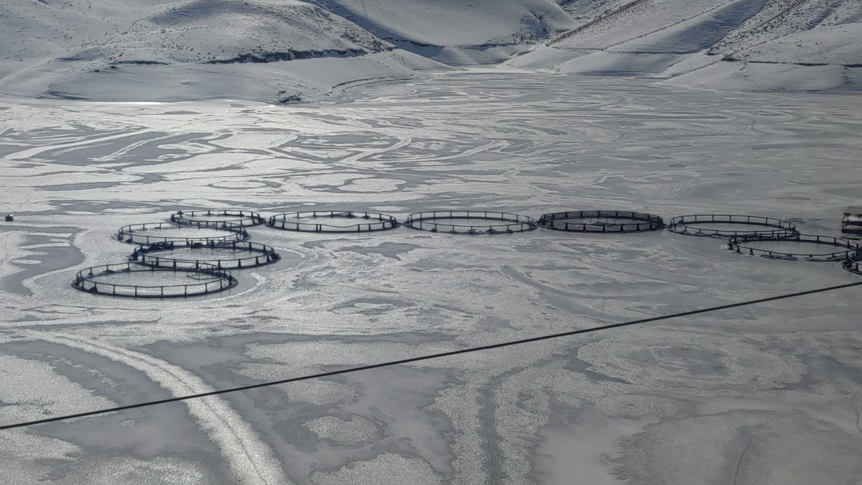 Van’da Sibirya soğukları: Dev barajlar buz tuttu