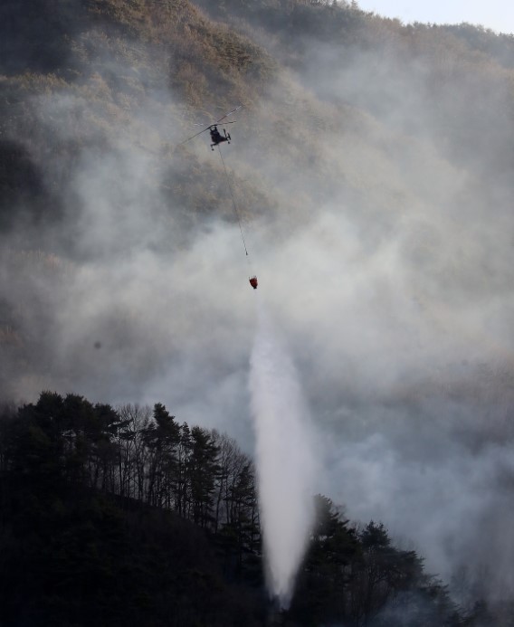 Güney Kore’de 3 gündür devam eden orman yangınında 190 hektarlık alan küle döndü