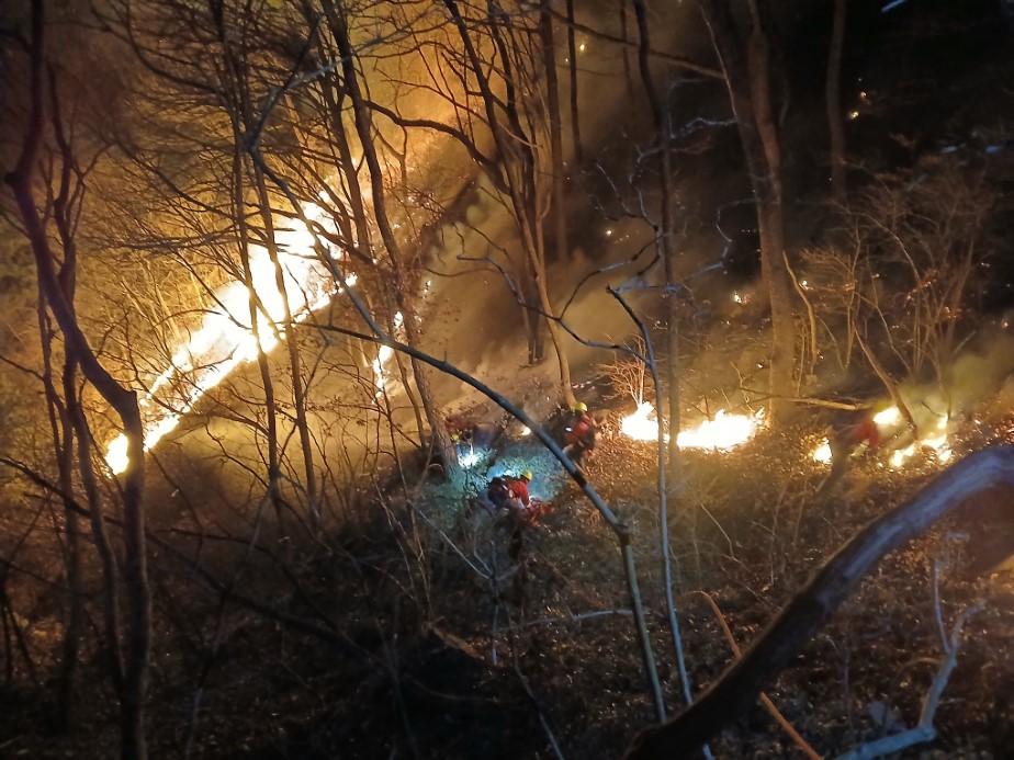 Güney Kore’de 3 gündür devam eden orman yangınında 190 hektarlık alan küle döndü