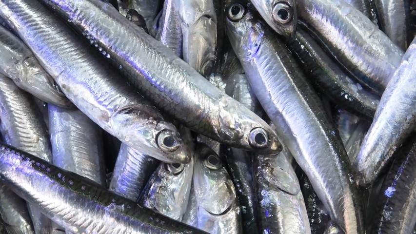 Karadeniz’de hamside Ramazan bereketi tezgahlara yansıdı