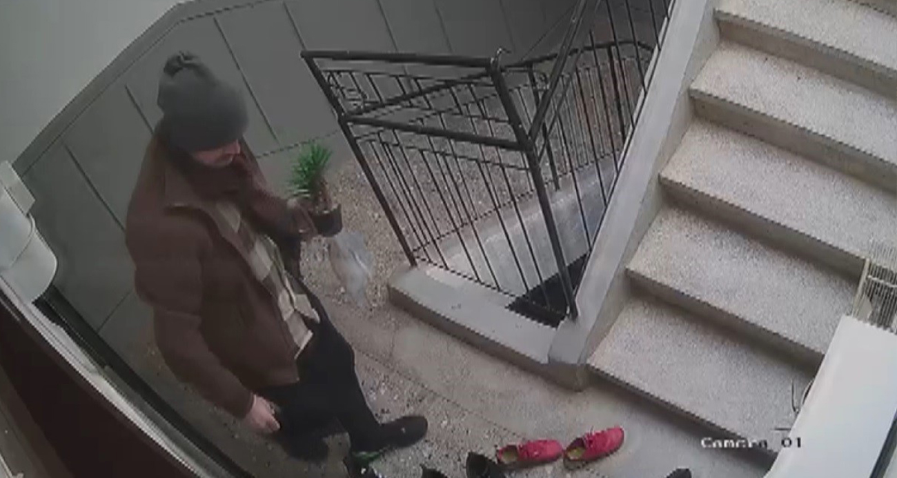 Konya’da bir binaya giren şüpheli şahıs, çıktığı dairenin önünde bulunan ayakkabıların tek tek markalarını kontrol edip beğenmeyince ayakkabı dolabı üzerinde bulunan süs çiçeğini alıp gitti. Yaşananlar güvenlik kamerasına yansırken, olayı şaşkınlıkla karşılayan daire sakini, "Bizim ayakkabılar marka olmadığı için iyi niyetli hırsız bırakıp gitmiş" dedi.