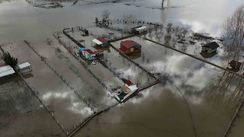 Meriç’in taşması sonrası tarlada sazan yakaladılar