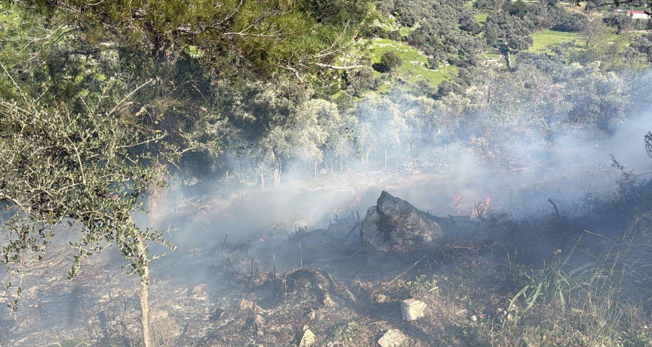 Muğla’nın Bodrum ilçesinde temizlik için yakılan ateş kontrolden çıkınca alevleri itfaiye ve orman ekipleri söndürdü.
