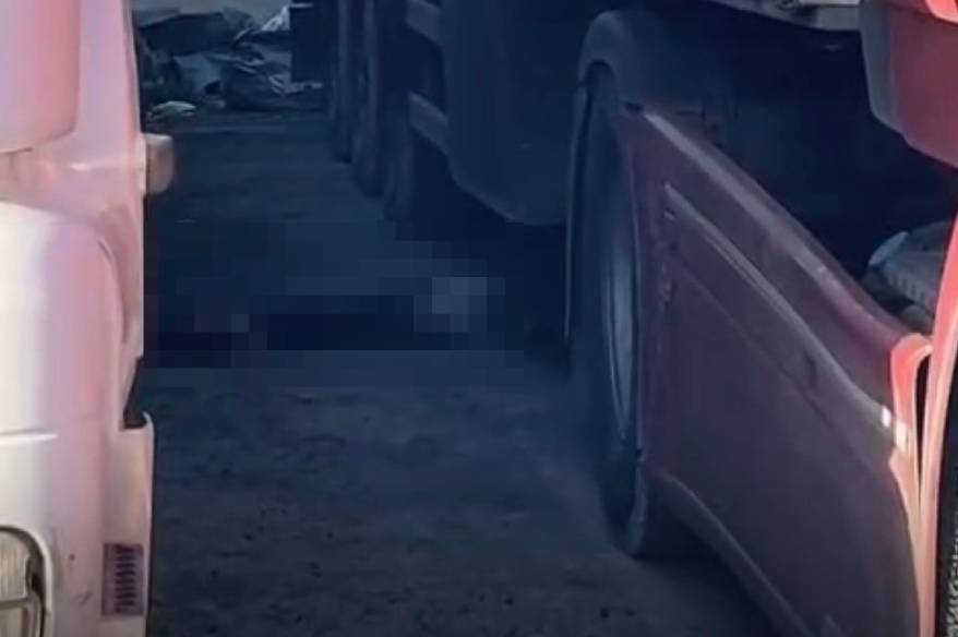 İzmir’de geri manevra yapan tırın altında kalan şoför hayatını kaybetti