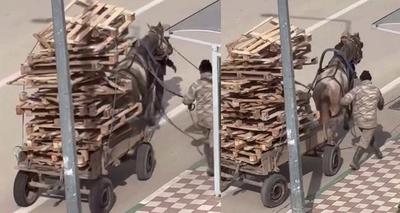 Bursa’da pes dedirten görüntüler