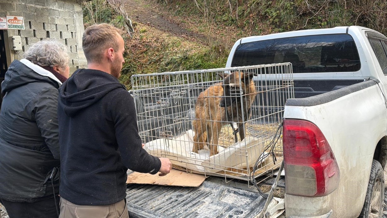Sınır dışı edilen Rus kadının evinde 4 gündür aç olan 12 hayvan kurtarıldı