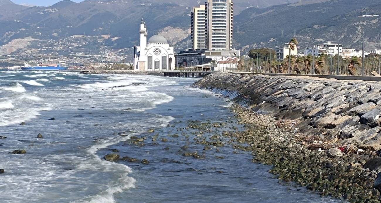 İskenderun Körfezi’nde denizde çekilme yaşandı