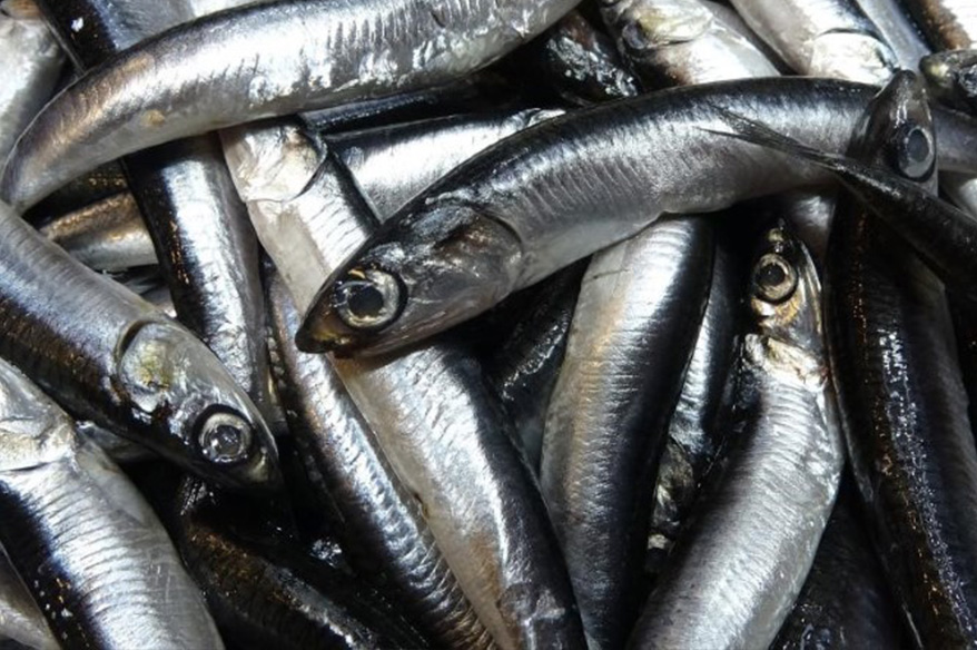 Savaş halindeki ülke ihracatta ilk sırayı aldı