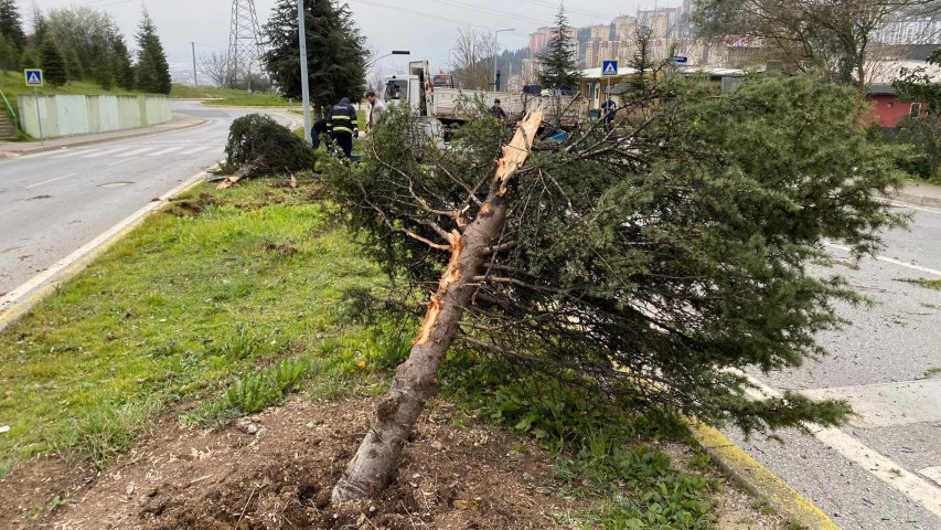 Faciadan dönülen anlar kamerada