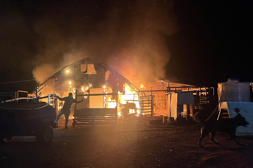 Bursa’da çiftlikte yangın: 580 kanatlı hayvan telef oldu