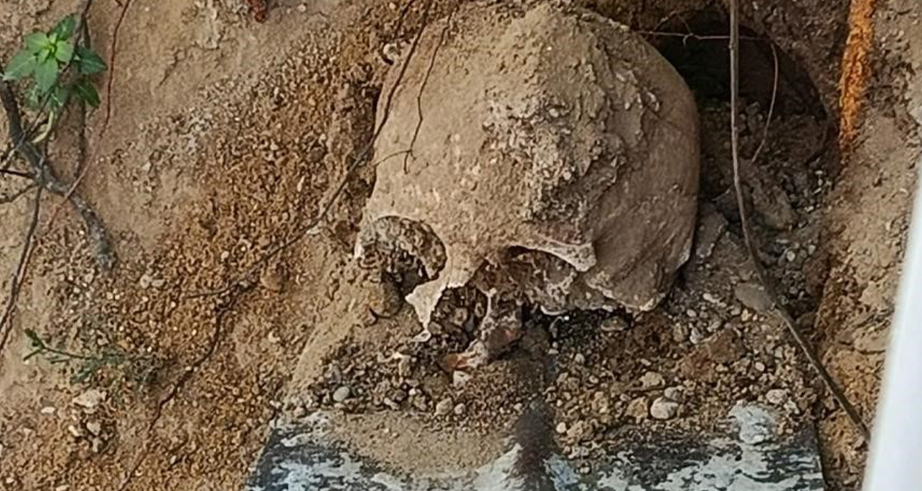 Fidan dikimi sırasında insan kafatası ve kemik parçaları bulundu