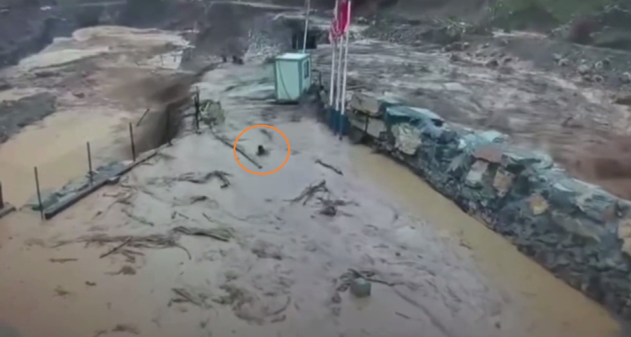 Güvenlik görevlisi son anda kaçtı, köpek sel sularıyla mücadele etti