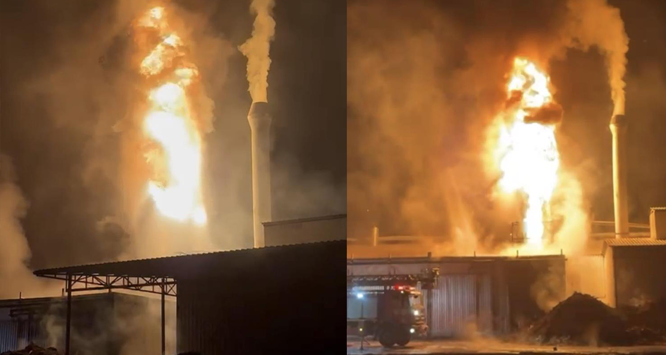 Yağ kazanı patlayan entegre tesisi alev alev yandı