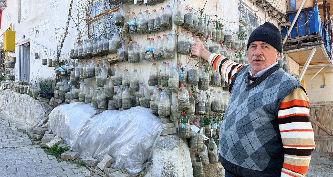 Bahçede yetiştiremeyince çözümü evinin duvarında buldu