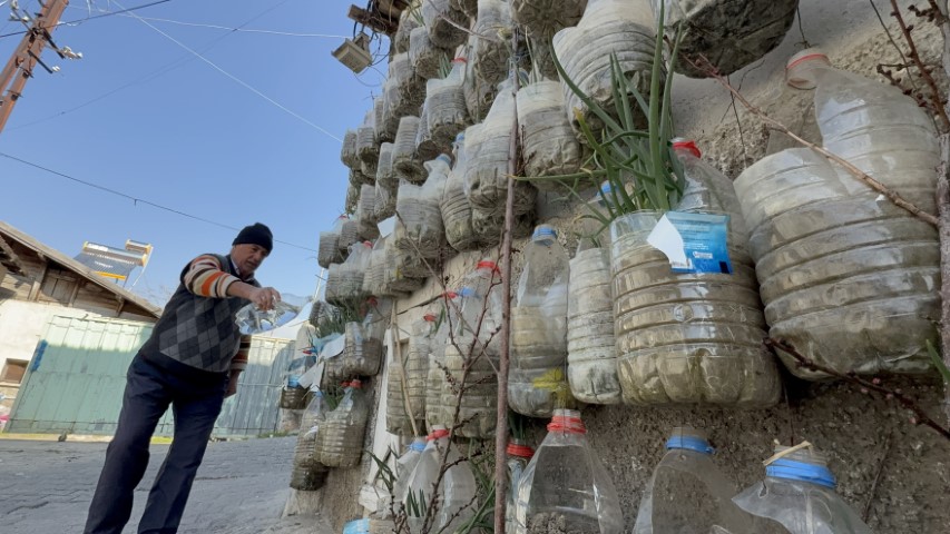 Bahçede yetiştiremeyince çözümü evinin duvarında buldu