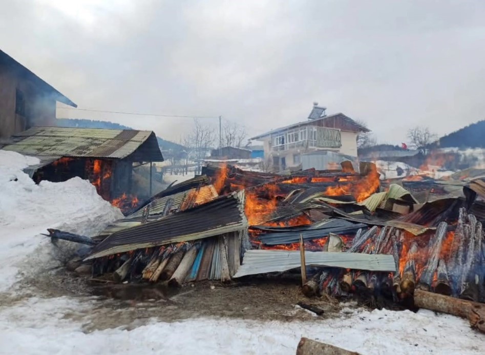 Şavşat’ta yangın: 1 ev, 2 ahır ve 2 ambar kül oldu