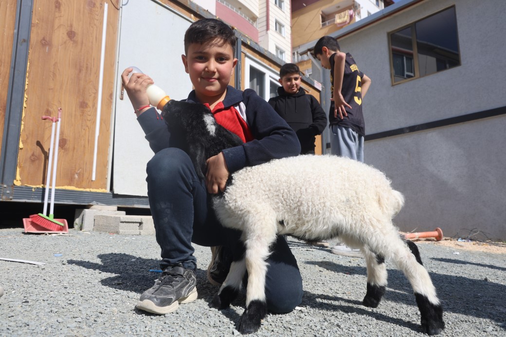 Annesi doğumda telef olan ’Boncuk’ kuzu, elbisesi ve biberonuyla ilgi odağı oldu
