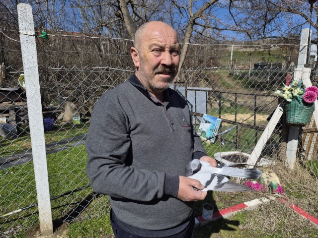 Çocukluğundan bu yana güvercin tutkunu olan adam: 