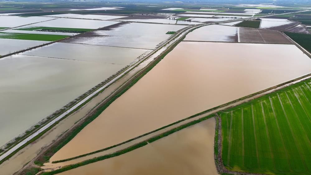 Çukurova’yı yağmur vurdu: Tarım arazileri sular altında