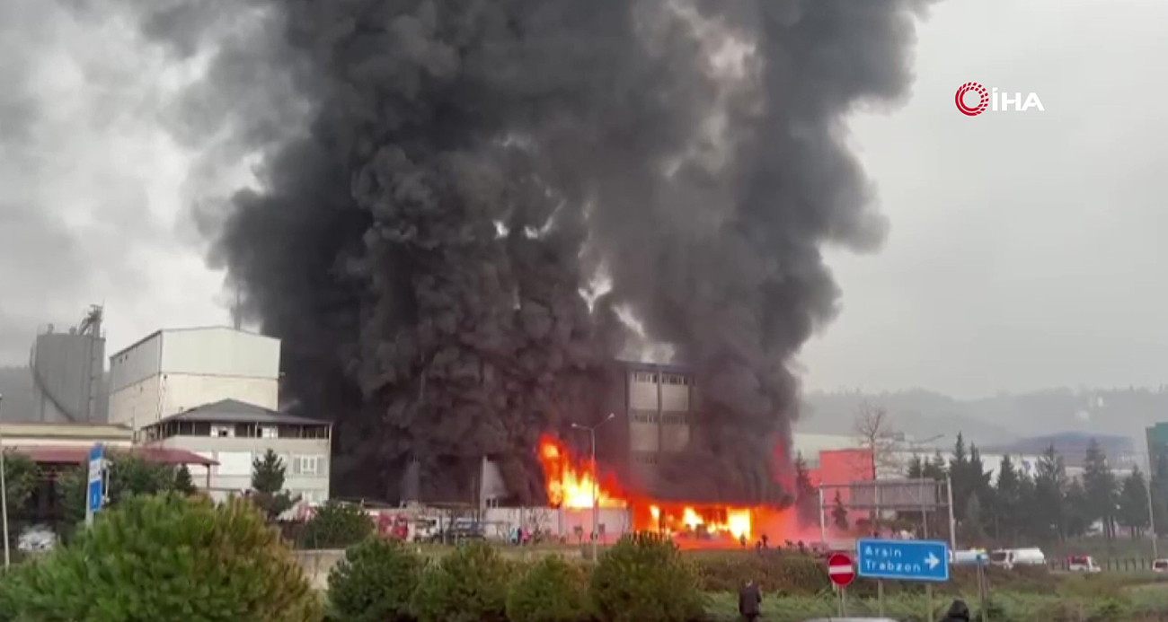 Fındık fabrikasında yangın çıktı