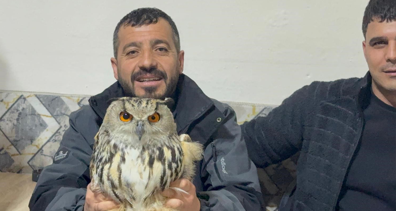 Kars’ta yaralı puhuya şefkat eli