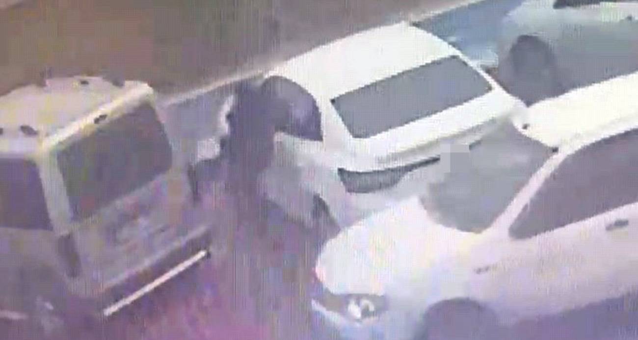 Araç faresi yakayı ele verdi