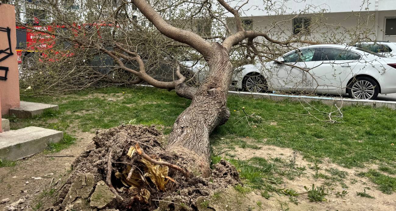 Denizli’de  çatılar uçtu, ağaçlar araçların üzerine devrildi, insanlar yürüyemedi