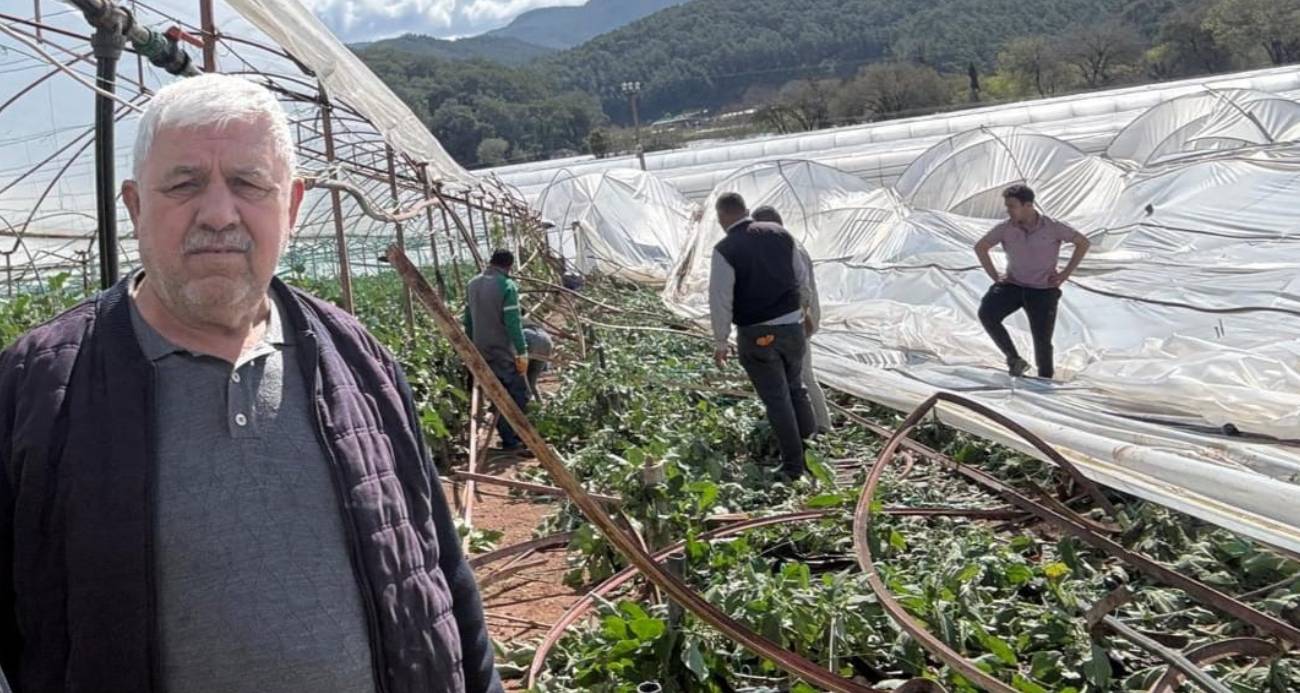 Seralarda ekili biberler telef olurken, çiftçiler sabah saatlerinde hasarın boyutuyla karşılaştı.