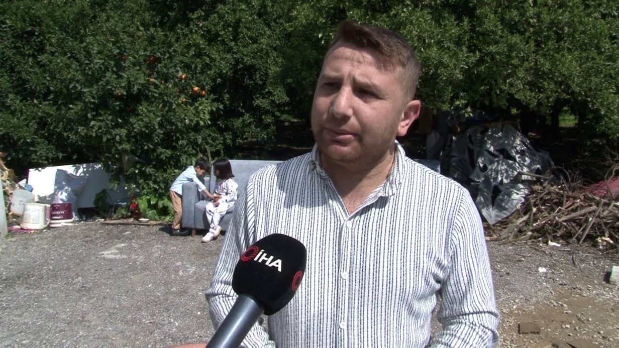 Köpek sürüsü kediyi parçaladı, korkudan çocuğunu okuldan aldı