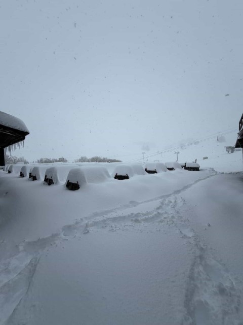 Uludağ’da etkili olan kar yağışıyla günübirlikçiler zirveye akın etti