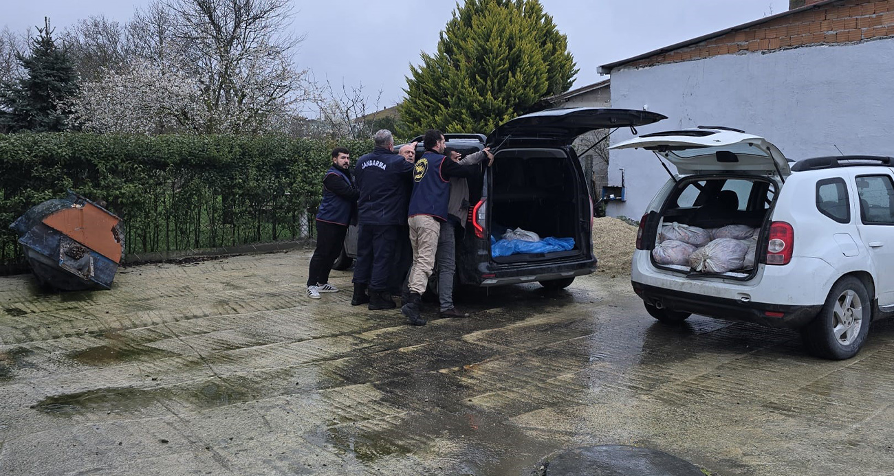 Silivri'de satışa hazır 306 kilo at eti yakalandı