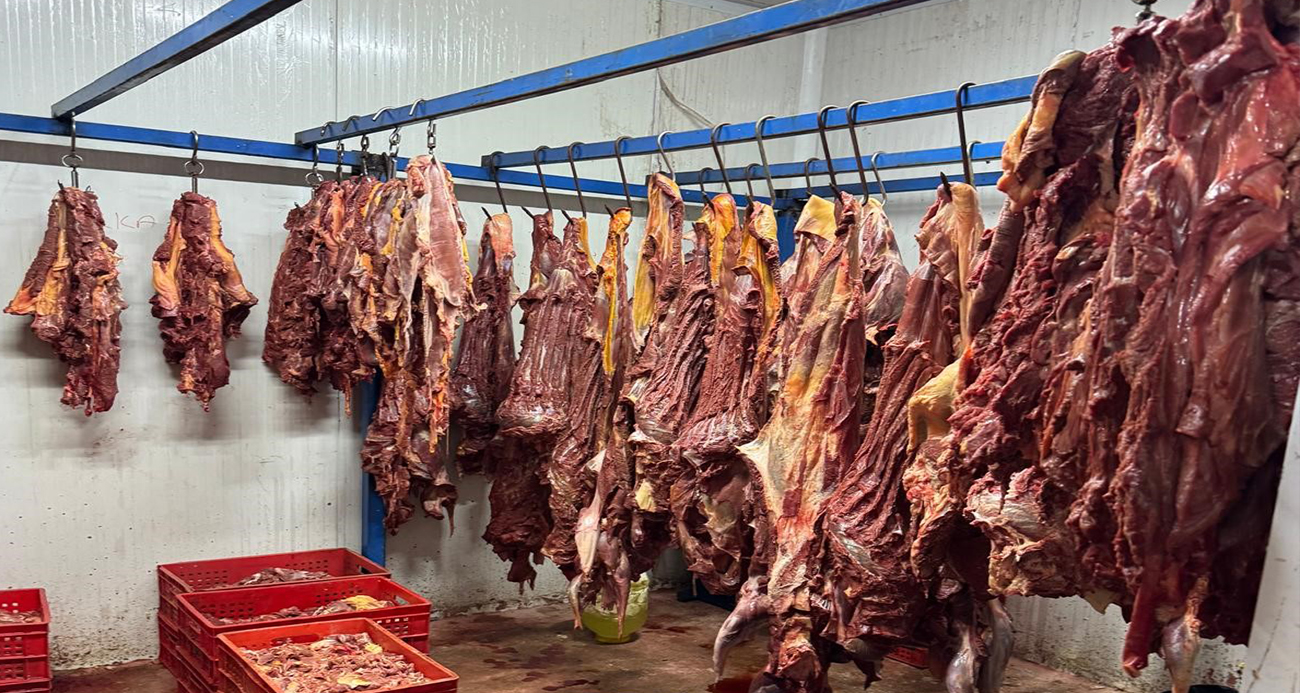 Bozulmuş etleri piyasaya süren 30 şüpheli gözaltına alındı