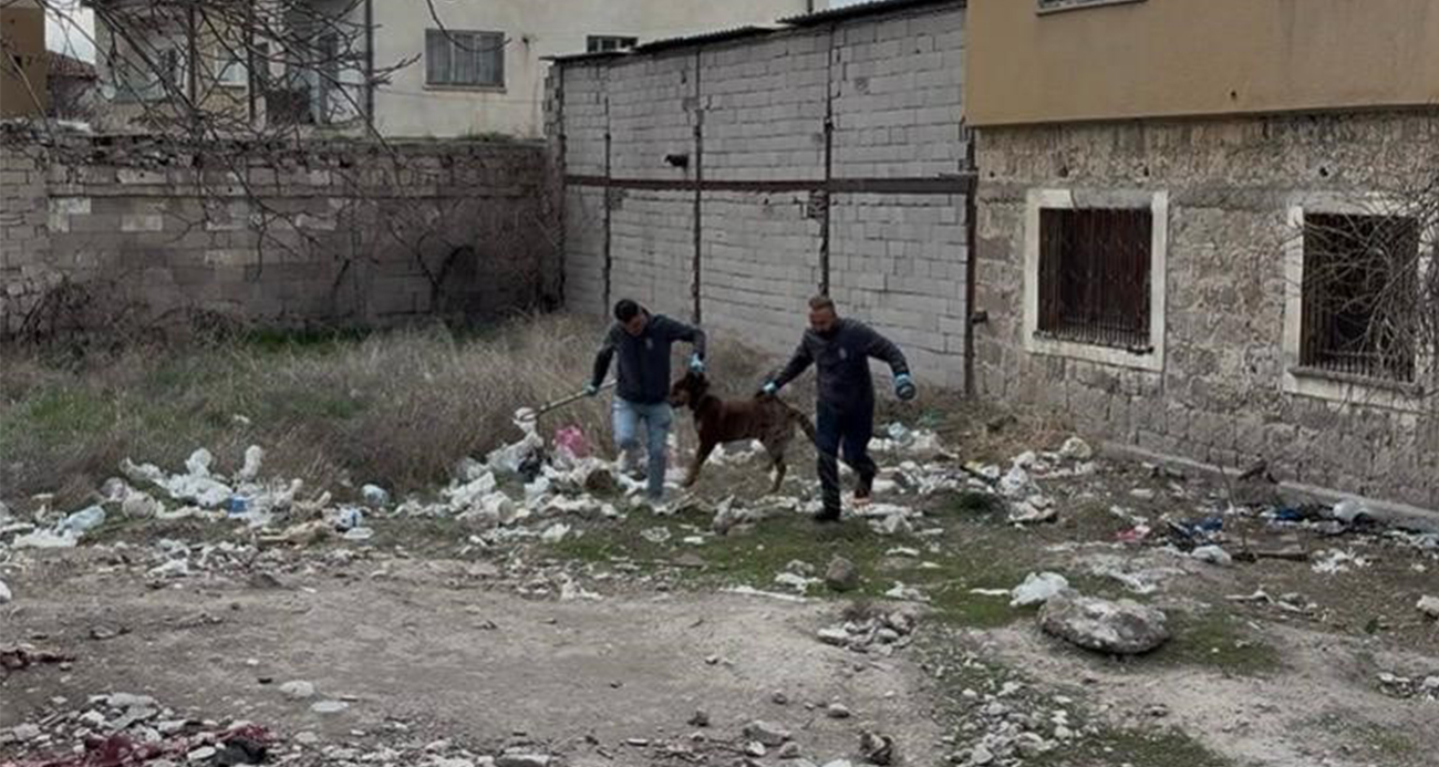 3 yaşındaki çocuğuna köpek saldıran baba: "Köpeğin çocuğumuzu bırakması için çok uğraştık"