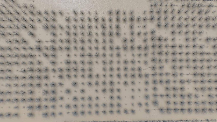 Bursa’da yüzlerce dönüm şeftali ve armut bahçesi su altında