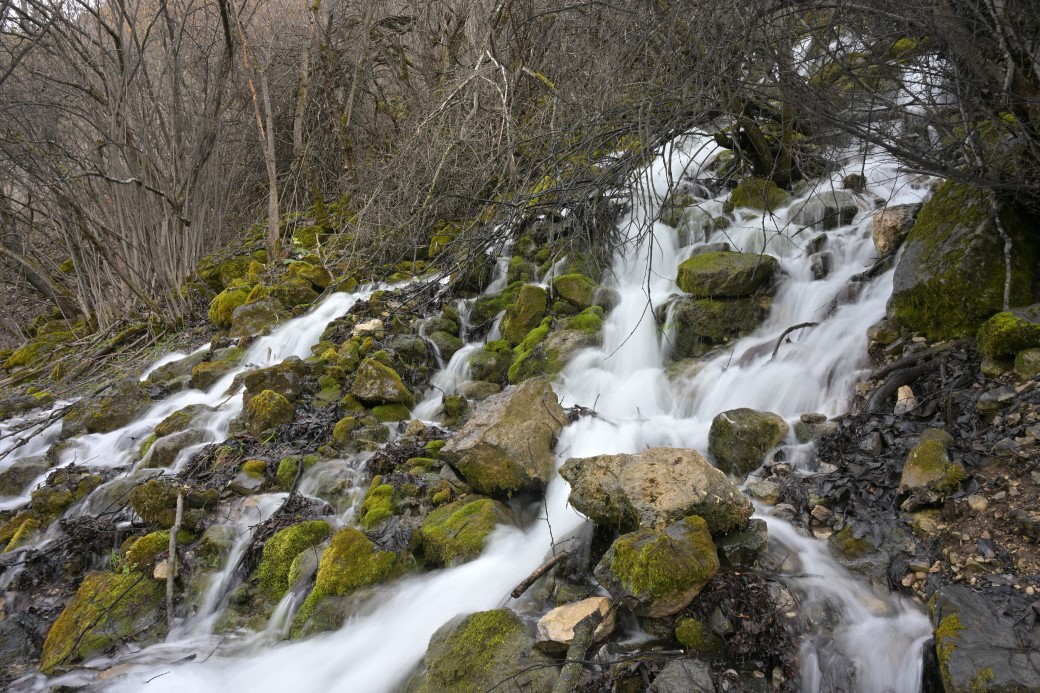 Torul’un gizemli su kaynakları: Gülaçar köyünde mevsimsel doğa olayı