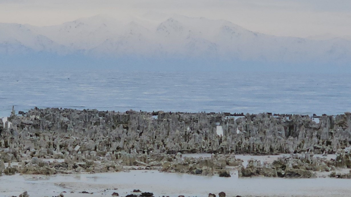 Esenyurt'ta bir şahıs sokak ortasında iki kadını darp etti