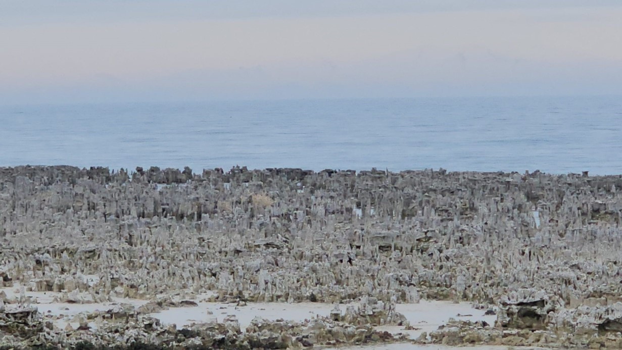 Van Gölü’nde kuraklık alarmı: Adilcevaz sahilinde mikrobiyalitler gün yüzüne çıktı