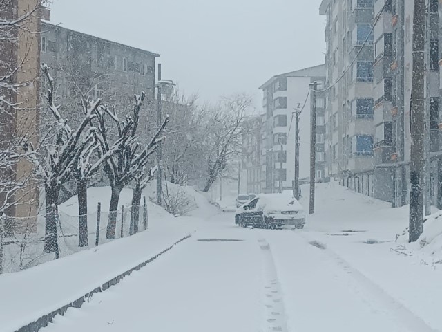 Bitlis nisan ayında yeniden beyaza büründü