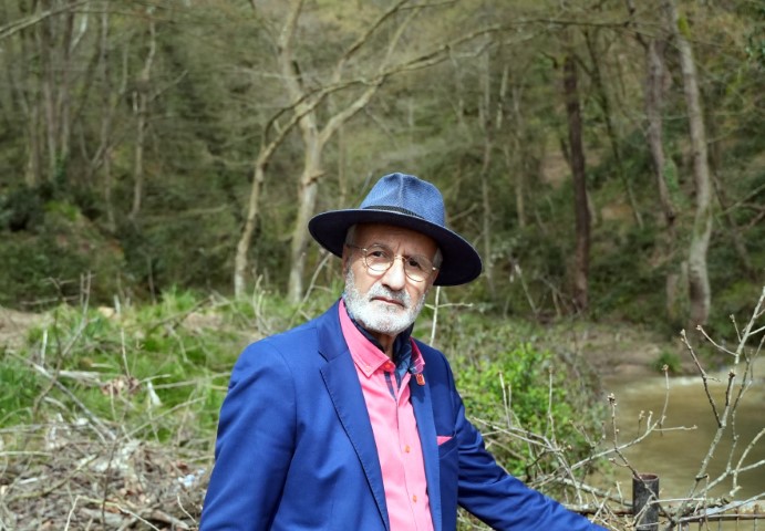 İstanbul’un tarihi çınarlarına budama, tartışma başlattı