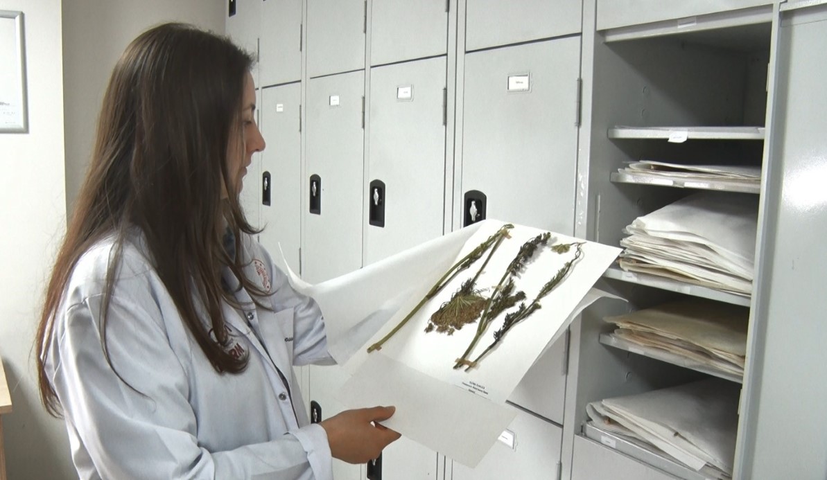 İran gerilimi sonrası gözler gıda güvenliğine çevrildi: Türkiye gen bankalarıyla hazırlıklı