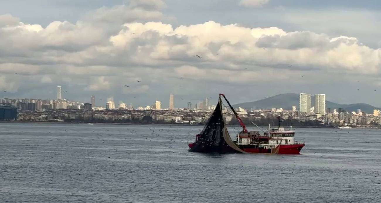 Denizlerde av mevsiminin son günlerinde Marmara’da istavrit bolluğu yaşanıyor.
