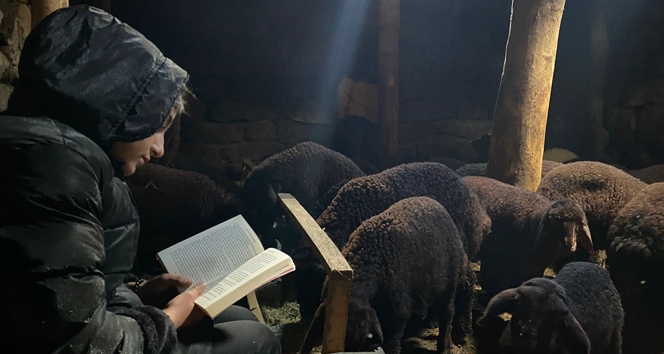 Ağrı’nın Patnos ilçesinde yaşayan Menekşe Sevinç, gündüz hayvanlarla ilgilenerek ailesine yardımcı oluyor, akşam saatlerinde ise ders çalışarak eğitim hedefi için çaba gösteriyor.