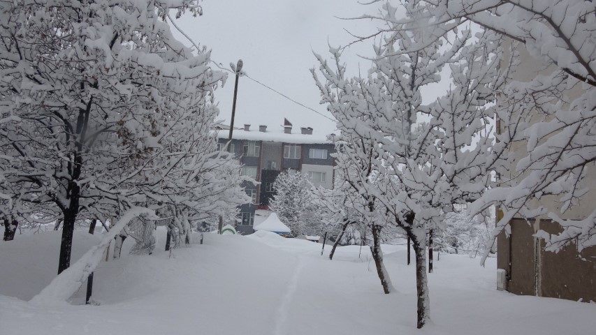 Bitlis’te 111 köy yolu ulaşıma kapandı