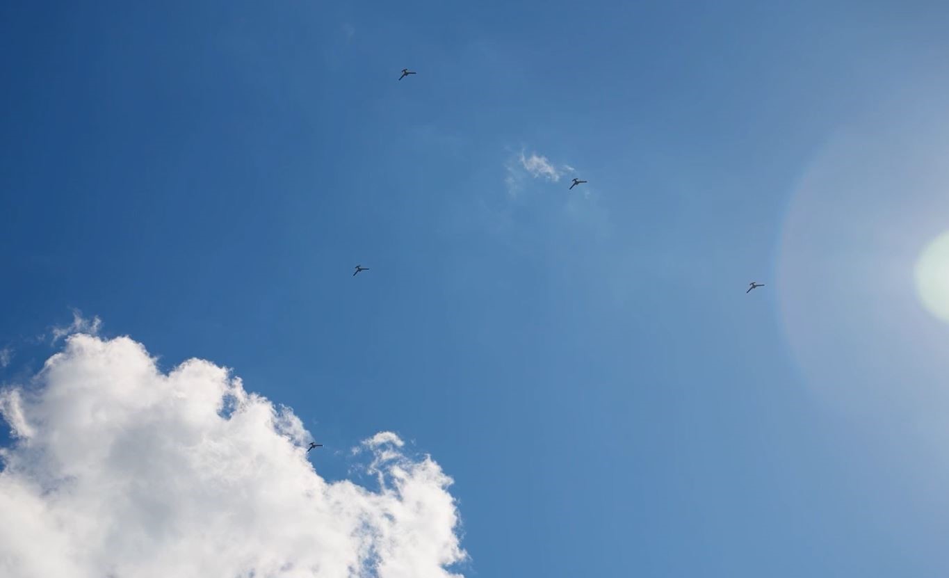 K2 Kamikaze İHA, Yapay Zeka Otonom Sürü Uçuş ve Hava Devriye testini başarıyla tamamladı