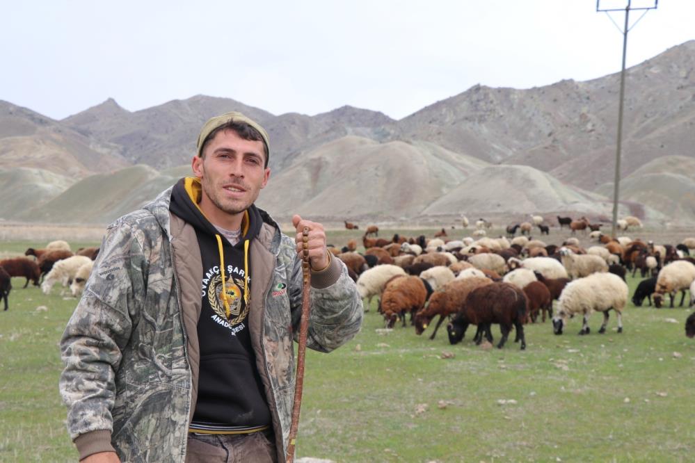 Saksağandan etkilendi, çobanlığı dijitalleştirdi, artık koyun sürüsünü dronle yönetiyor