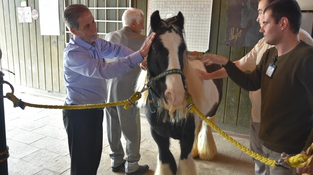 Pendik’te atlarla şifa: Yaşlılar için atla terapi dönemi başladı