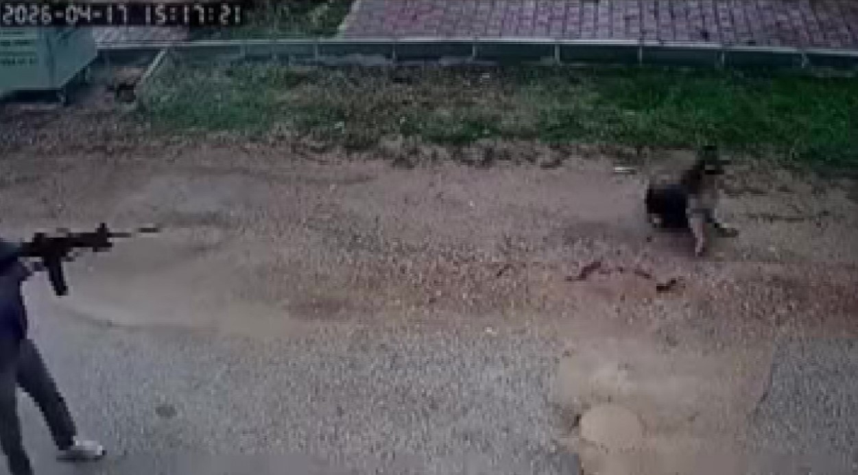 Kavga eden sokak köpeklerine tüfekle ateş edip bir köpeği öldürdü