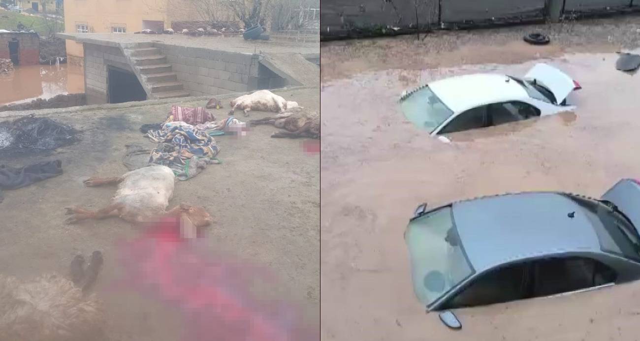 Siirt’te araçlar sel sularında kayboldu, onlarca hayvan telef oldu