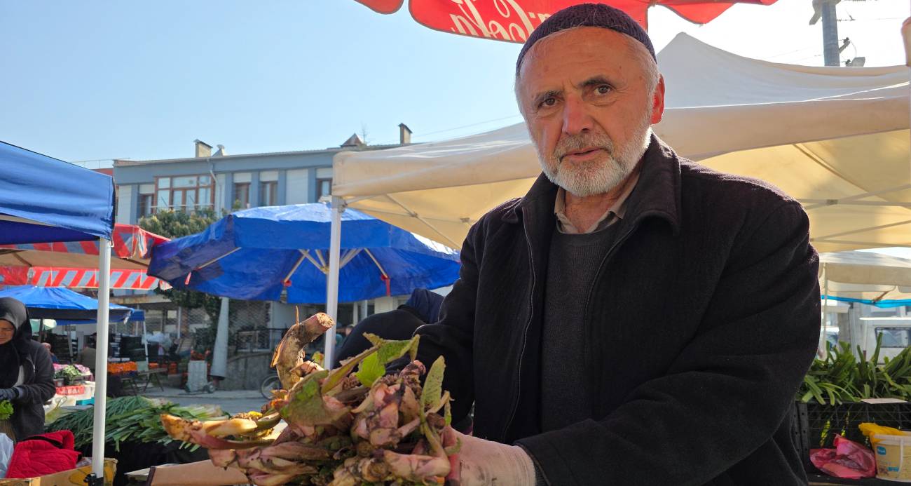 Şifa dağıtan kaldirik otu tezgahlardaki yerini aldı