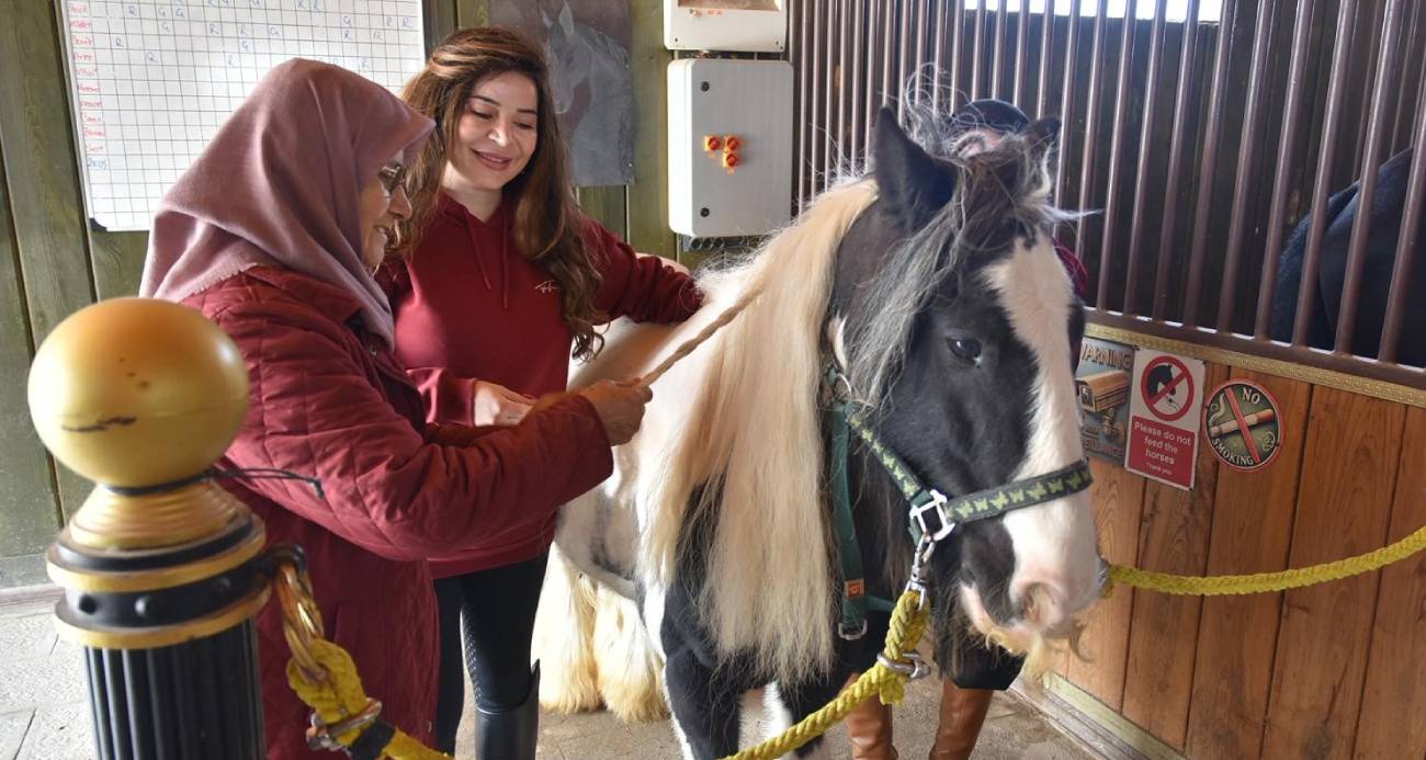 Pendik’te atlarla şifa: Yaşlılar için atla terapi dönemi başladı